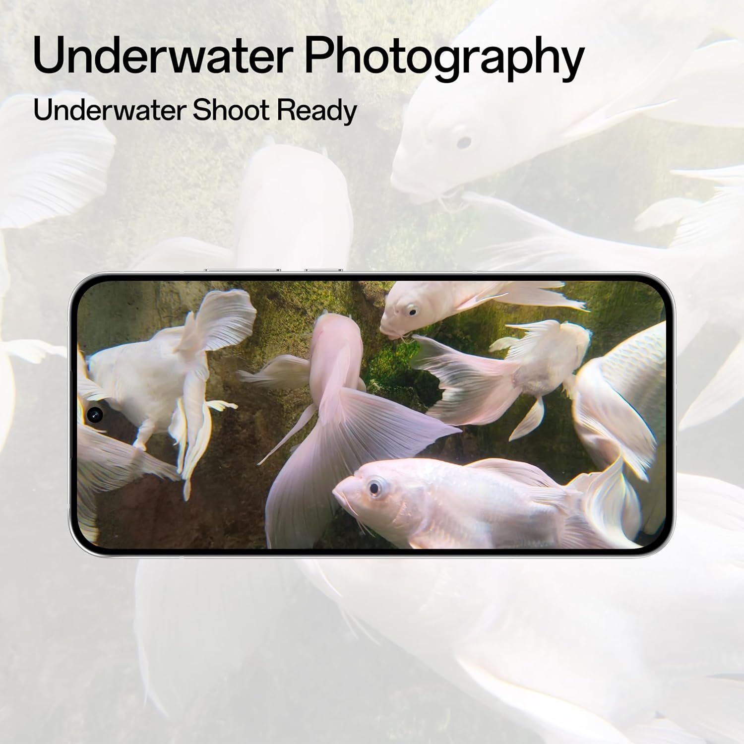 oppo reno14 5g (8gb ram, 256gb storage) oppo reno14 5g (8gb ram, 256gb storage)